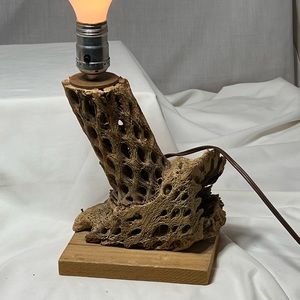 Natural cholla, cactus skeleton, vintage antique lamp, 60s works great